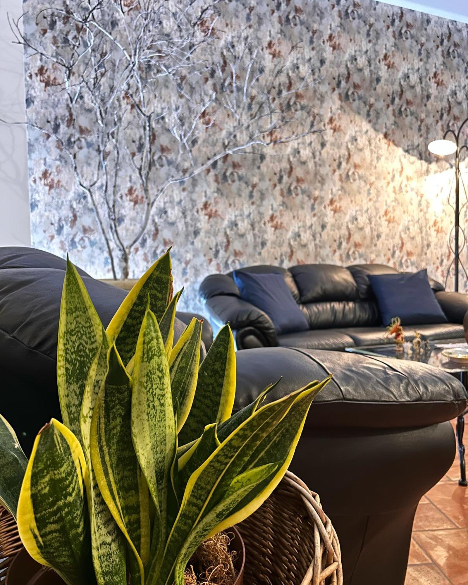 Ohana House Джарре Екстер'єр фото